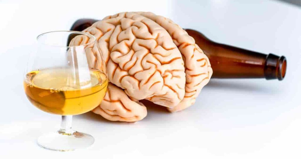 alcohol-cerebro