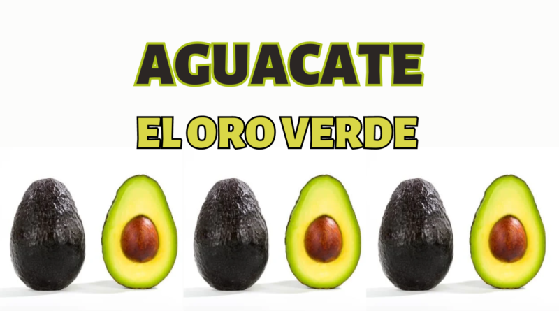 aguacate