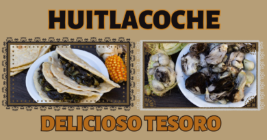 huitlacoche