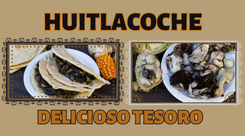 huitlacoche